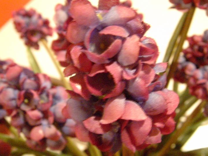 dscf0985.jpg