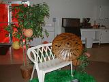 dscf0981