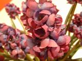 dscf0985