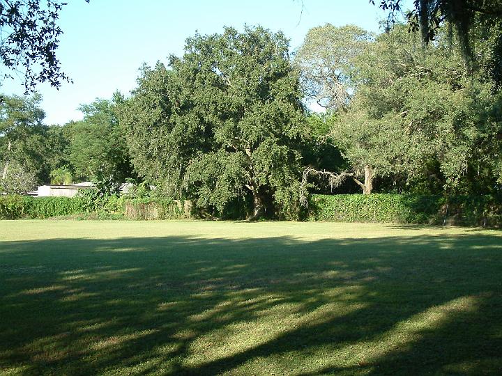 dscf1805.jpg