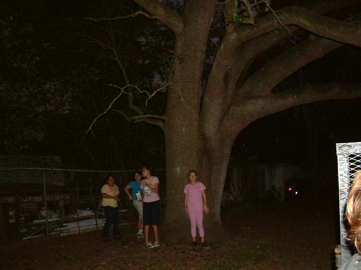 DSCF3630.JPG