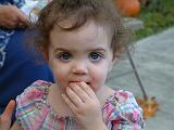 DSCF3588