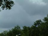 DSCF2903