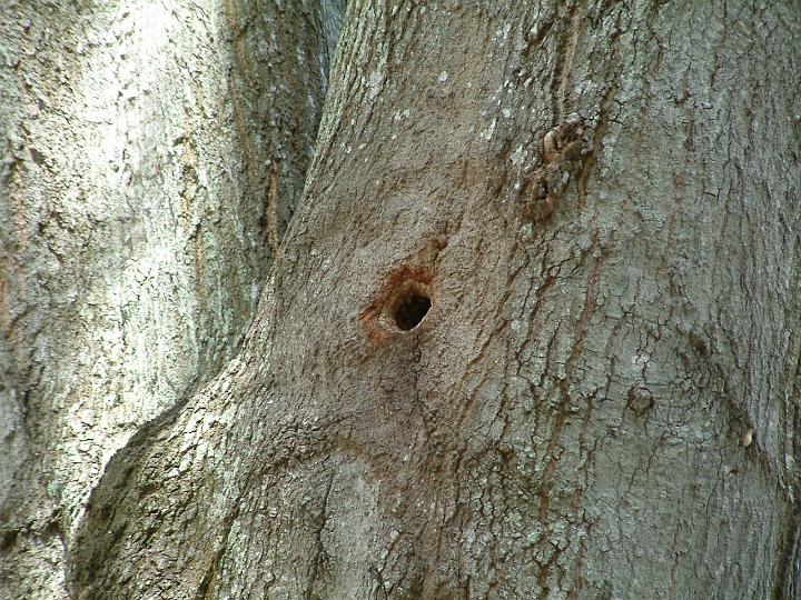 DSCF2525.JPG