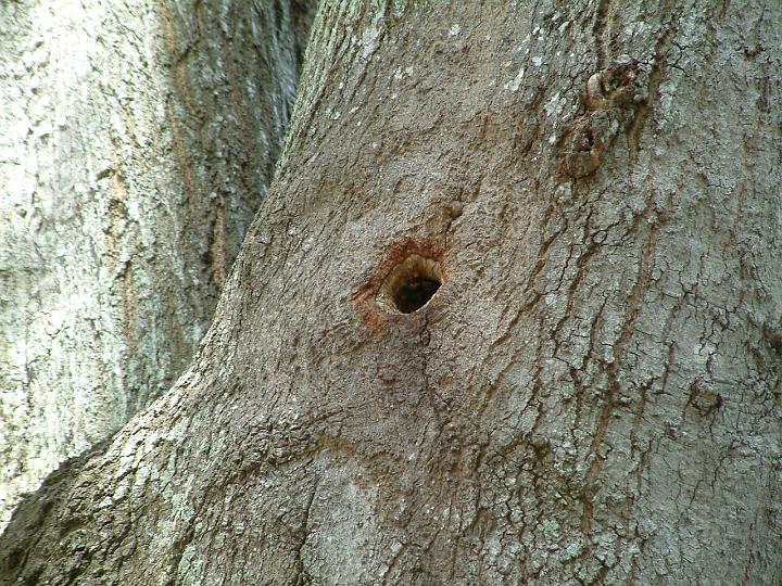 DSCF2527.JPG