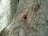 DSCF2527