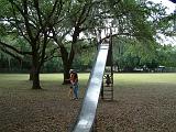 DSCF2540