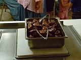 DSCF2578