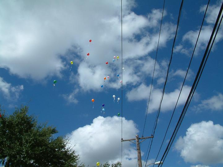 DSCF3427.JPG
