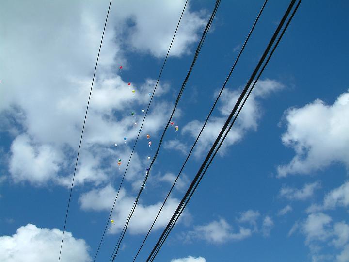 DSCF3428.JPG