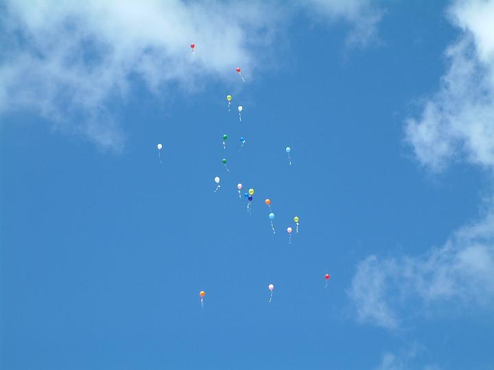 DSCF3431.JPG