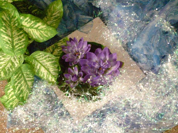 DSCF2746.JPG