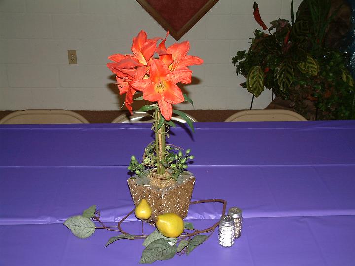 DSCF2749.JPG
