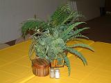 DSCF2736