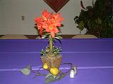 DSCF2749