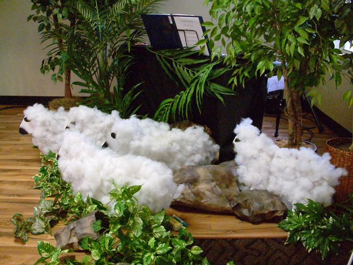 DSCF3163.JPG