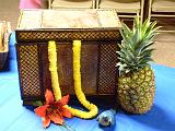TropicalParadise